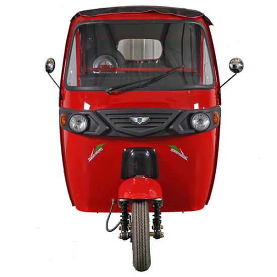 Triciclo eléctrico de ocio de 3 ruedas para adultos con batería de energía verde certificada CCC con vehículo de motor de 4000W