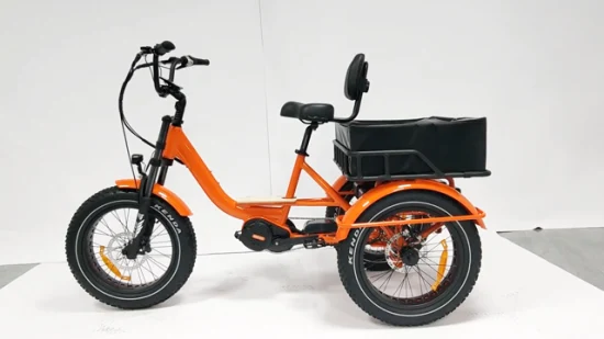 Triciclo eléctrico adulto modificado para requisitos particulares rueda MEDIADA del poder más elevado E Trike 3 del motor del cargo